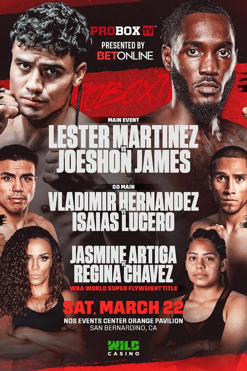 Lester Martinez vs. Joeshon James (2025) movie poster