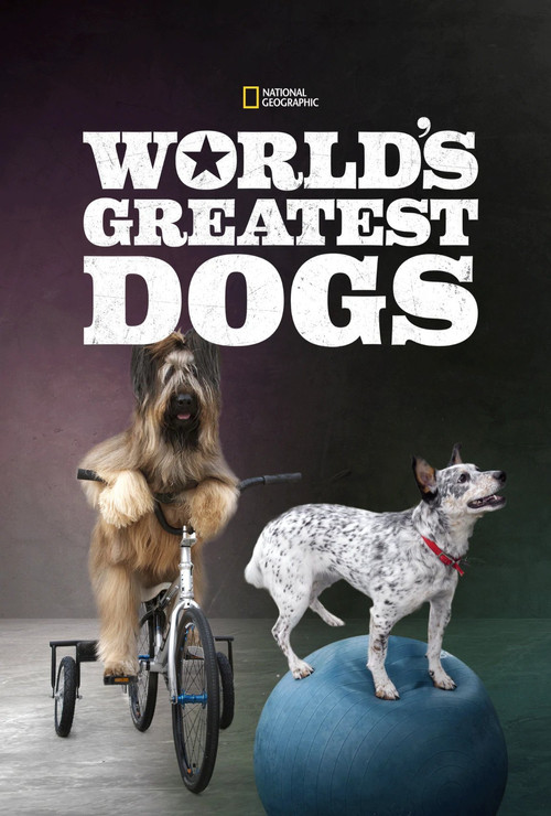 World's Greatest Dogs (2015) movie poster