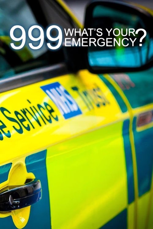 999: What's Your Emergency? (2012) TV show poster