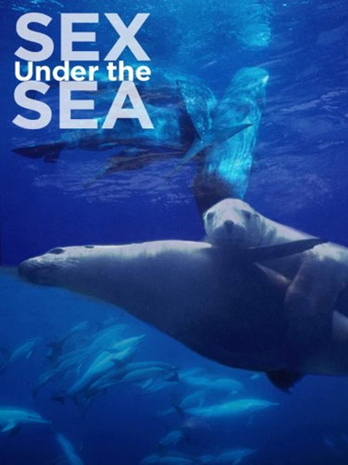 Sexe en Haute Mer (2011) movie poster