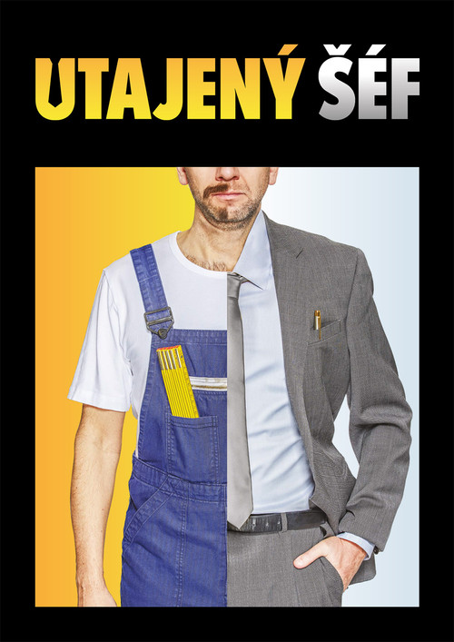 Utajený šéf (2018) TV show poster