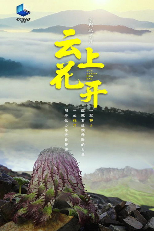 云上花开 (2023) TV show poster