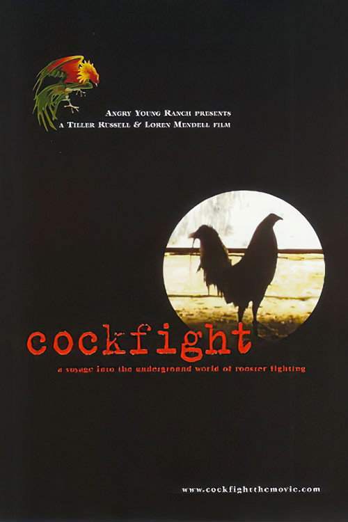 Cockfight (2001) movie poster