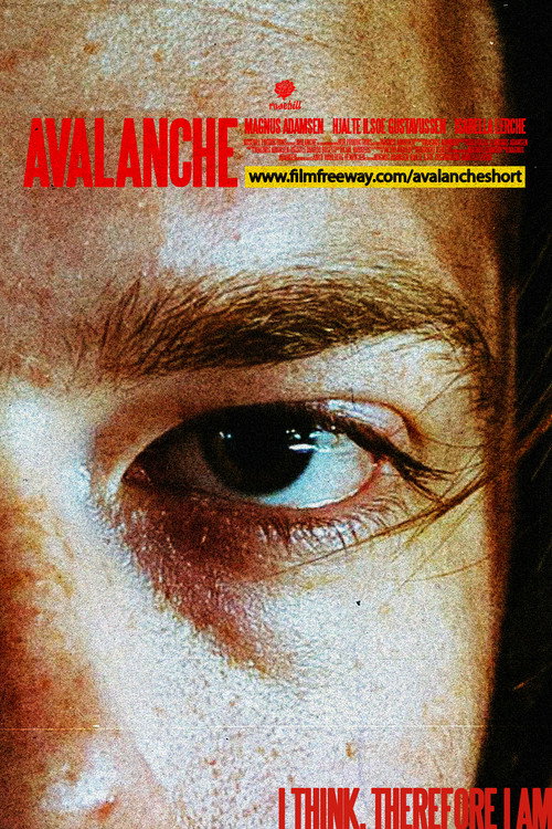 Avalanche (2024) movie poster