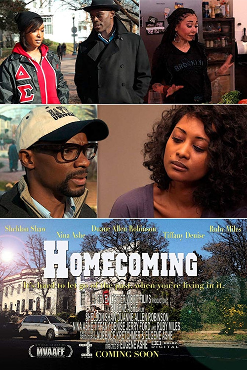 Homecoming (2013) movie poster