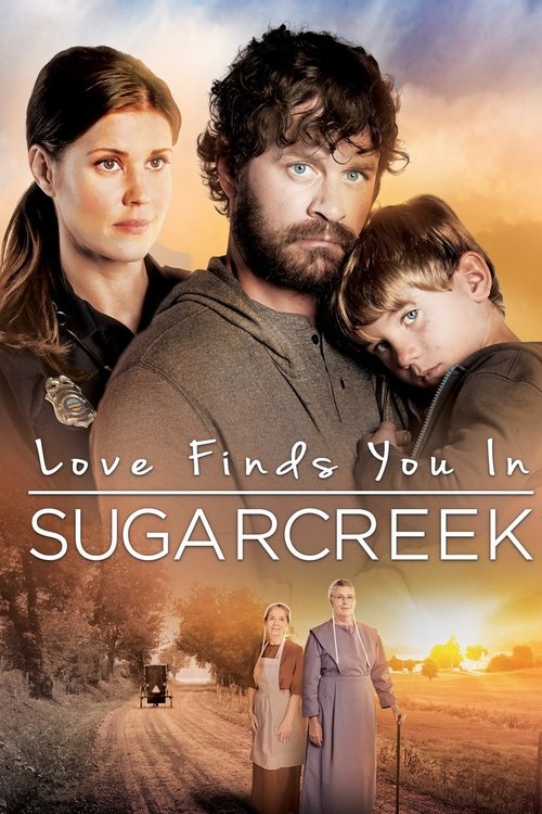 Love Finds You In Sugarcreek (2014) movie poster