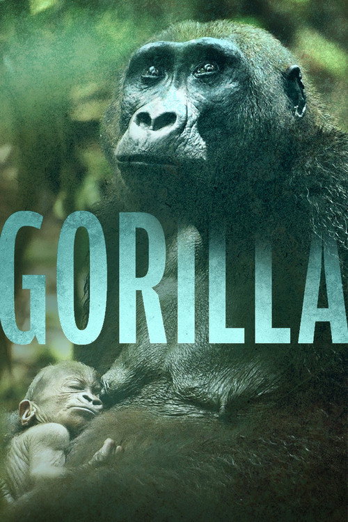 Gorilla (2024) movie poster