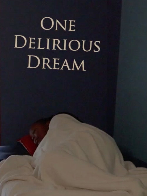 One Delirious Dream (2023) movie poster