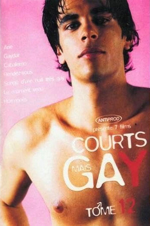 Courts mais Gay : Tome 12 (2006) movie poster