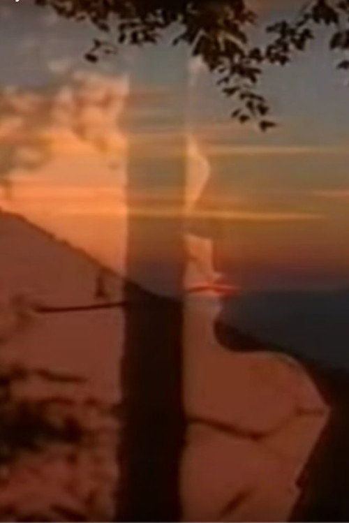 The Bitter Berry: The Life and Work of Byron Herbert Reece (1988) movie poster