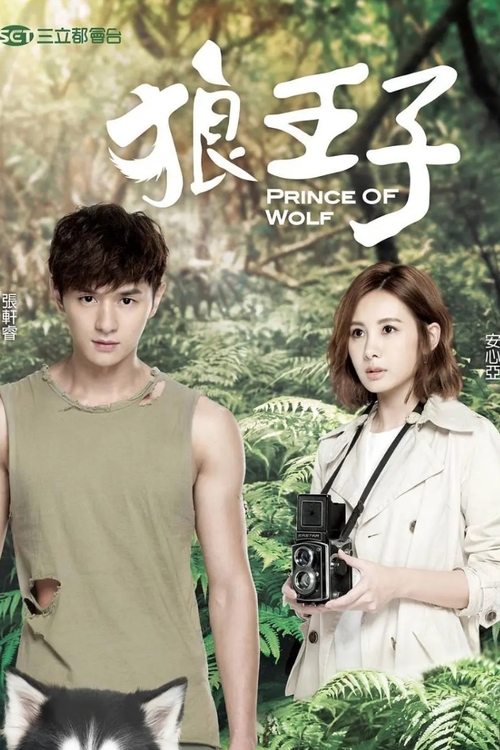 Prince of Wolf (2016) TV show poster