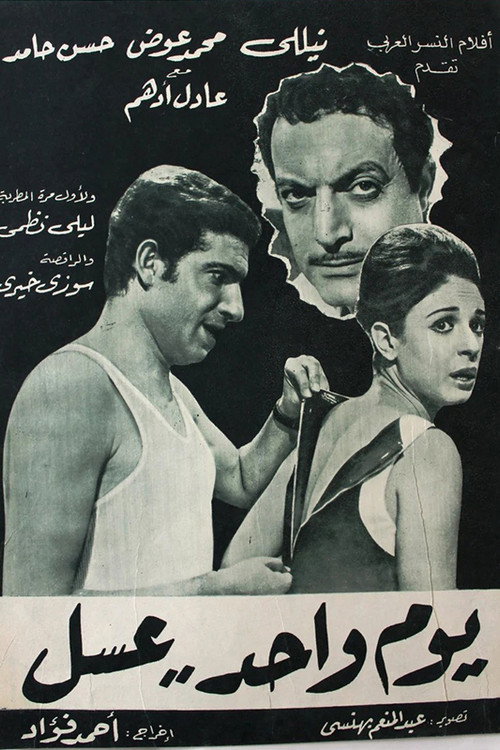 يوم واحد عسل (1969) movie poster