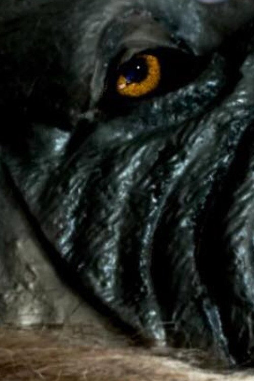 The Werewolf of Chatsford (2018) movie poster