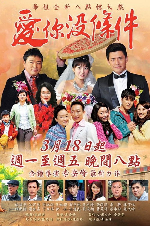 愛你沒條件 (2015) TV show poster