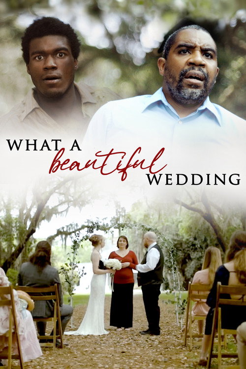 What A Beautiful Wedding (2021) movie poster