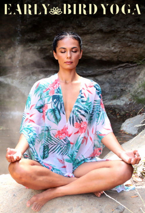 Early Bird Yoga (2019) TV show poster