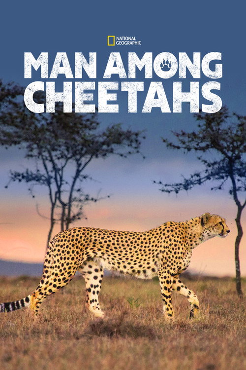 Man Among Cheetahs (2017) movie poster