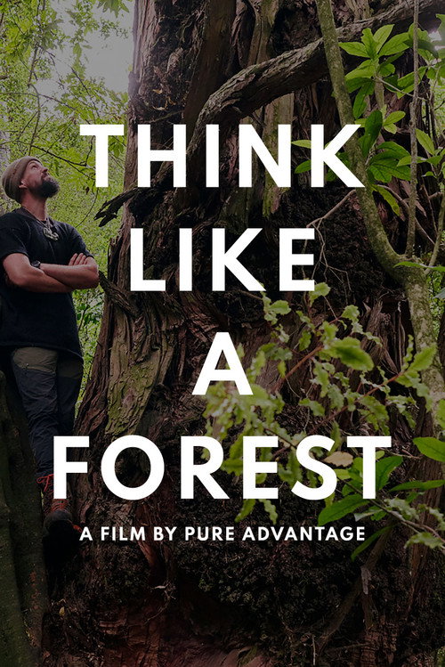 Think Like a Forest (2025) movie poster