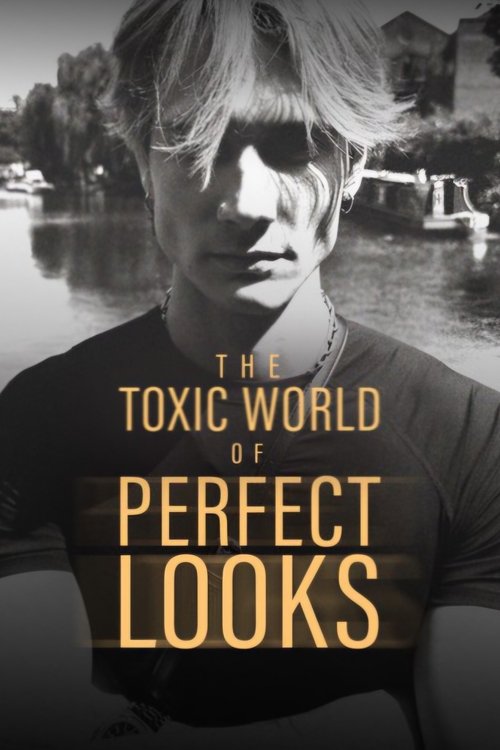 The Toxic World Of Perfect Looks (2024) movie poster