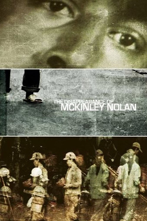 The Disappearance of McKinley Nolan (2010) movie poster