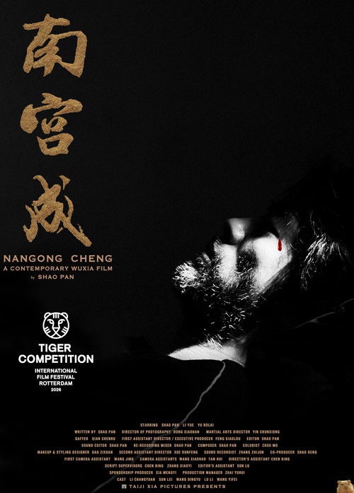 Nangong Cheng (2026) movie poster