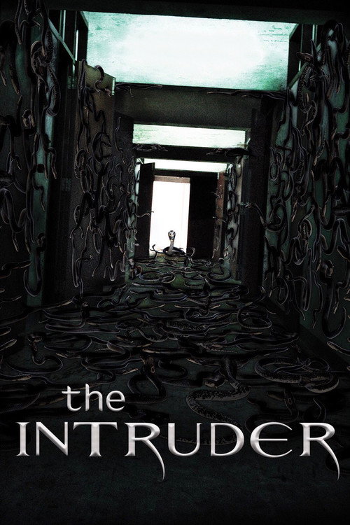 The Intruder (2010) movie poster