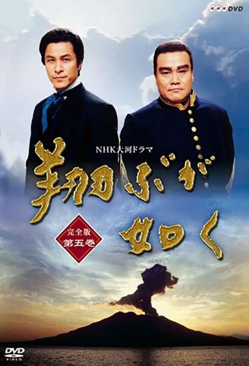 As If In Flight (1990) TV show poster