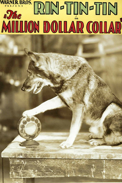 The Million Dollar Collar (1929) movie poster