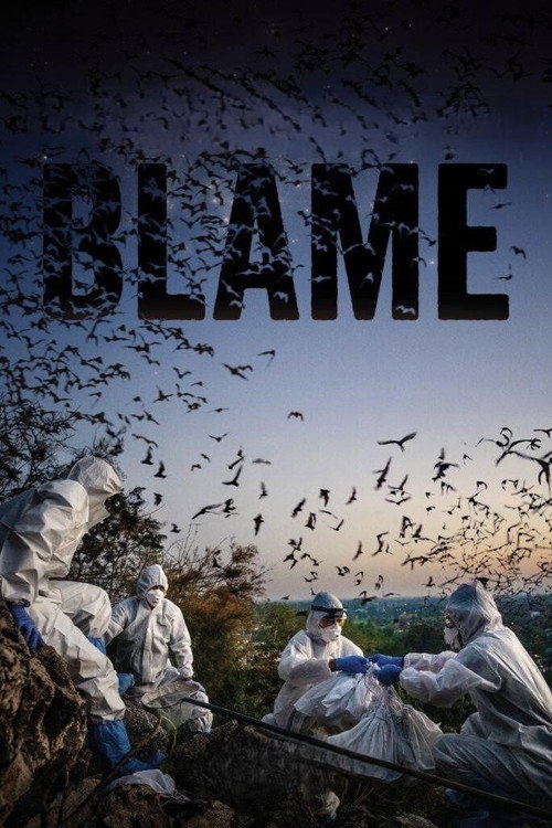 Blame (2026) movie poster