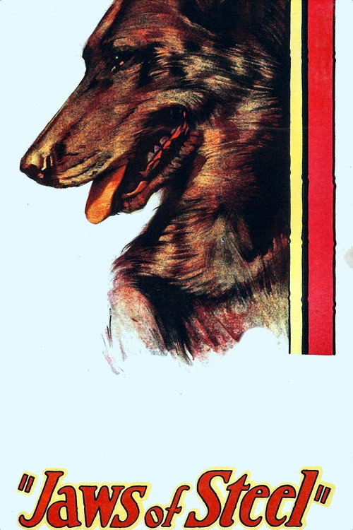 Jaws of Steel (1927) movie poster