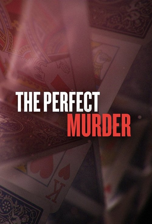The Perfect Murder (2014) TV show poster