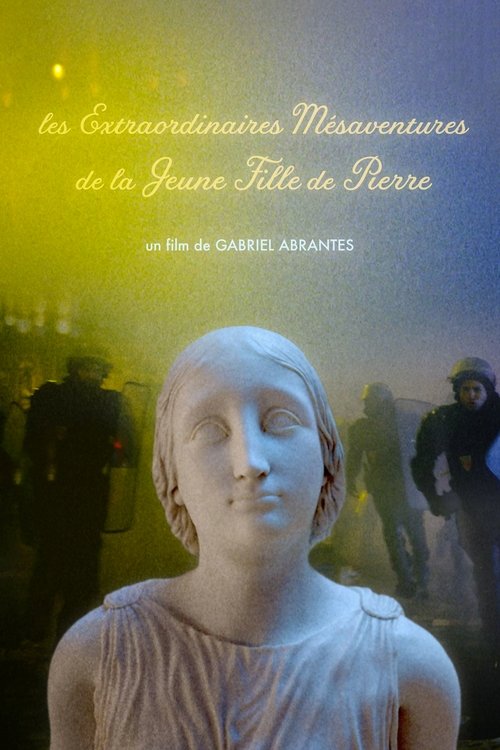 The Marvelous Misadventures of the Stone Lady (2019) movie poster