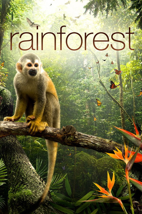 Secret Life of the Rainforest (2012) movie poster