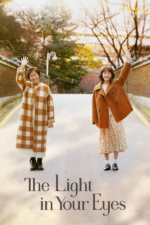 The Light in Your Eyes (2019) TV show poster