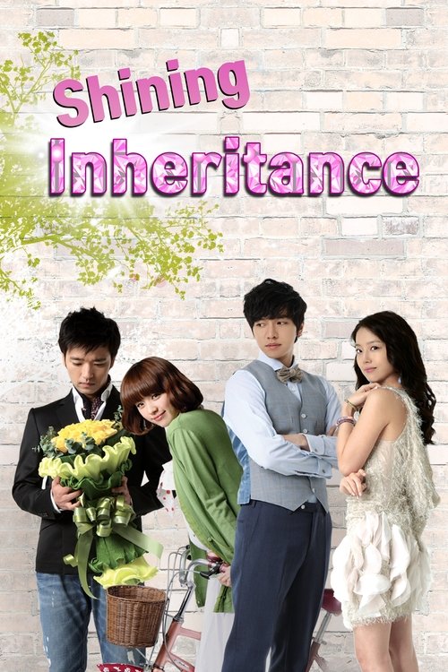 Brilliant Legacy (2009) TV show poster