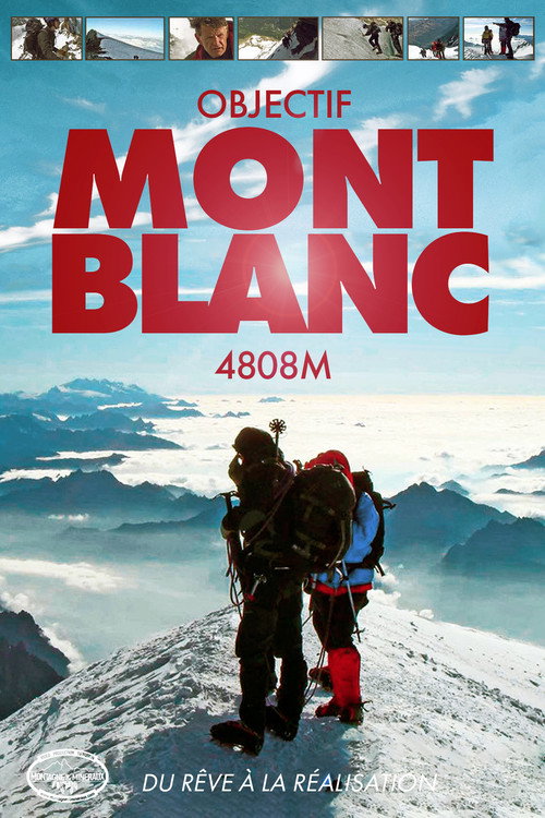 Objectif Mont-Blanc 4808m (2010) movie poster
