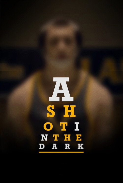 A Shot in the Dark (2017) movie poster