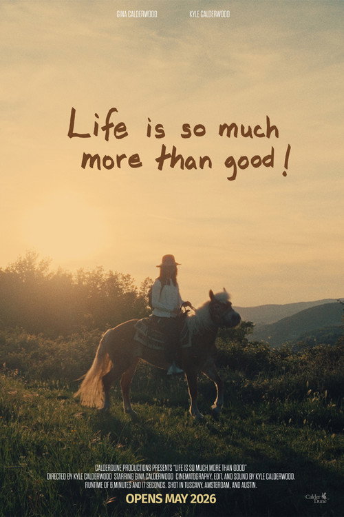 Life is so much more than good! (2026) movie poster