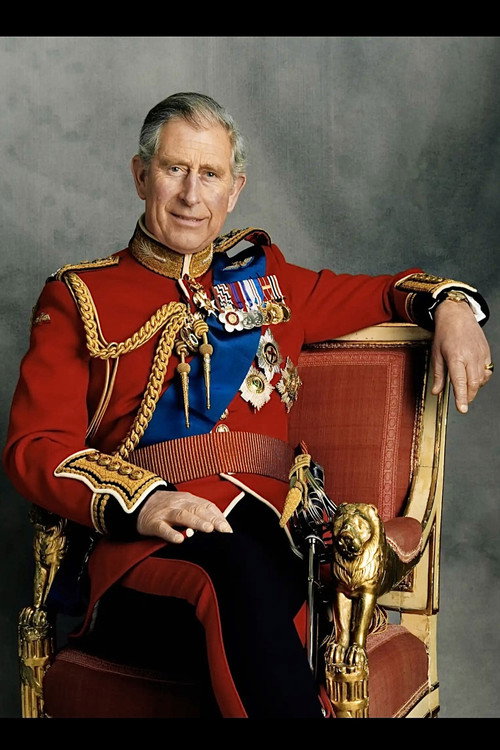 Born to be The King (2022) movie poster