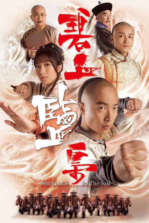 Sweetness in the Salt (2009) TV show poster