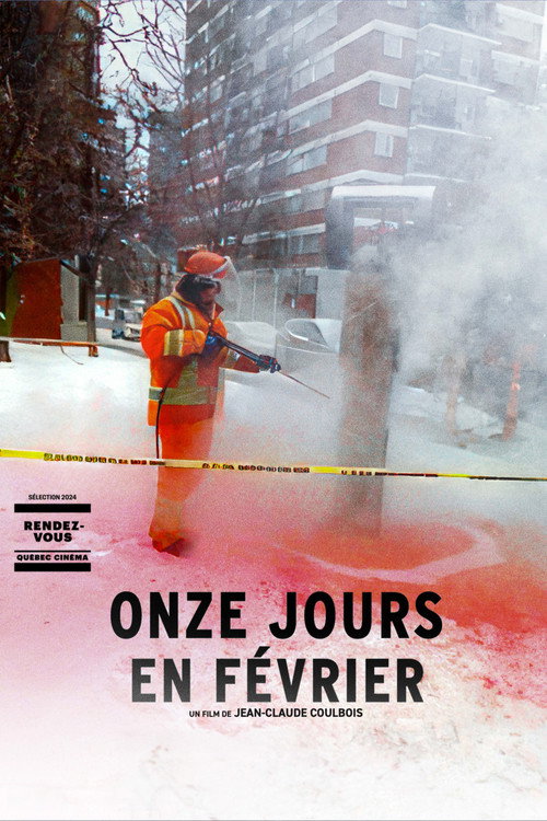 Fog in February (2024) movie poster
