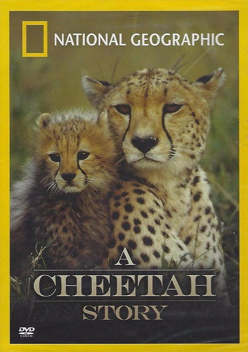 Cheetah Story (1999) movie poster
