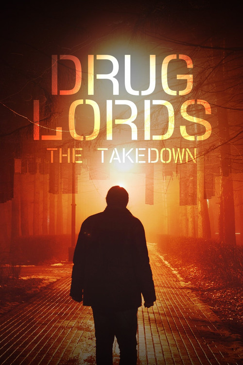 Drug Lords: The Takedown (2023) TV show poster