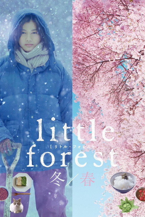 Little Forest: Winter/Spring (2015) movie poster