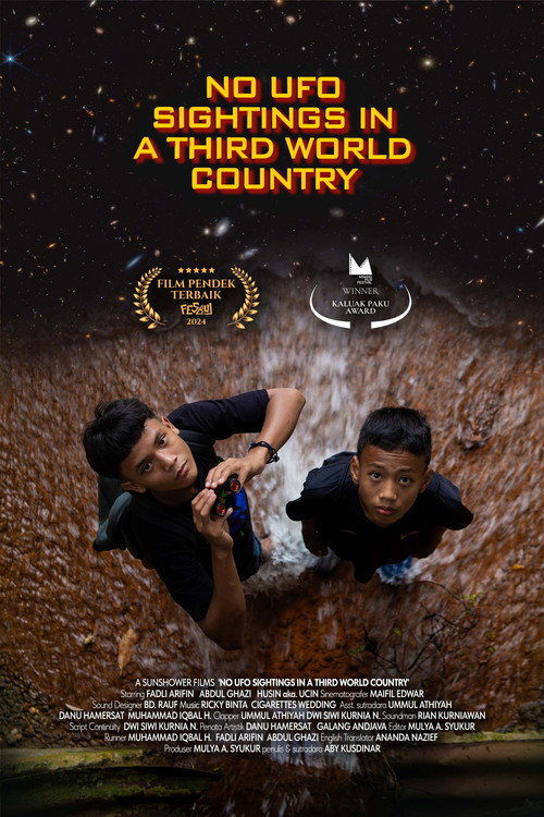 No UFO Sightings in a Third World Country (2024) movie poster