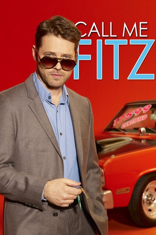 Call Me Fitz (2010) TV show poster