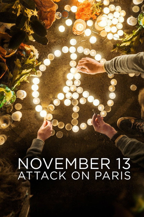 November 13: Attack on Paris (2018) TV show poster