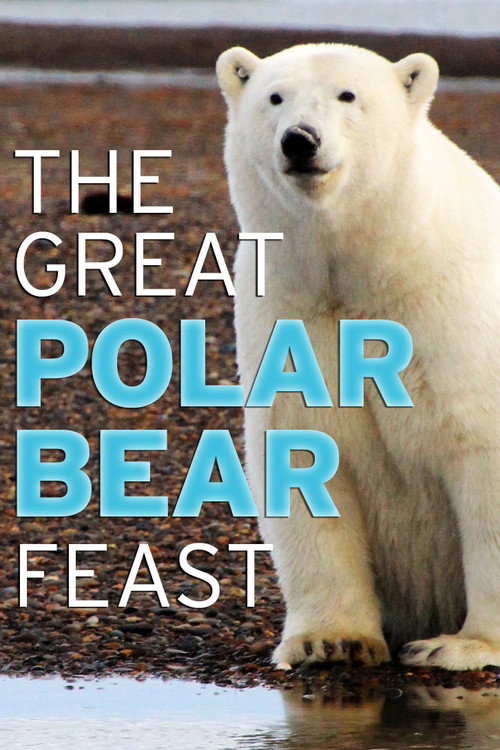 The Great Polar Bear Feast (2015) movie poster