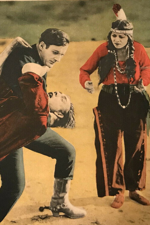 Riders of the Plains (1924) movie poster