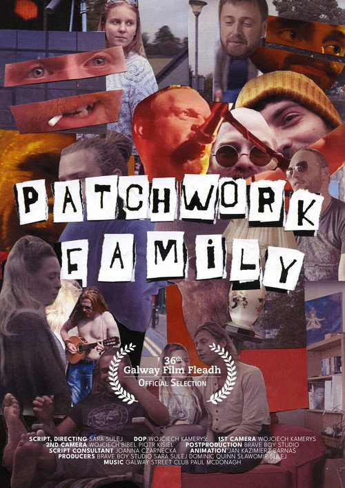 Patchwork Family movie poster